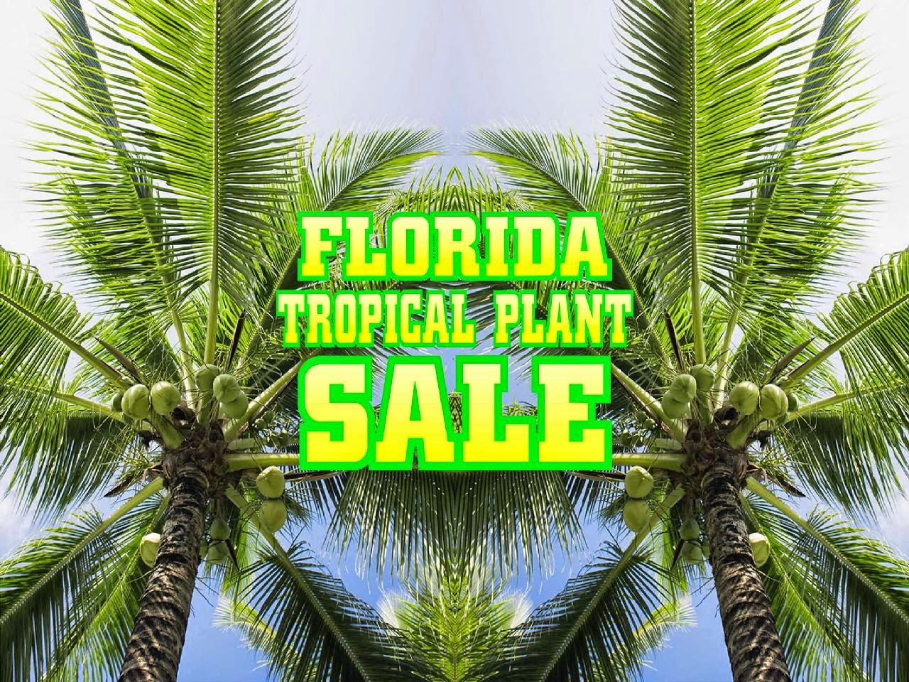 Florida Tropical Plant Sale